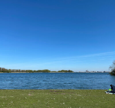 Field Work with the Elementals around a Lake in the Outskirt of Rotterdam